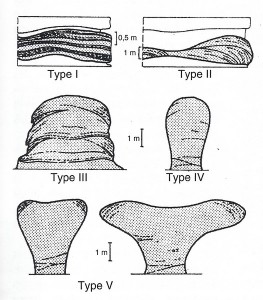 Typologie