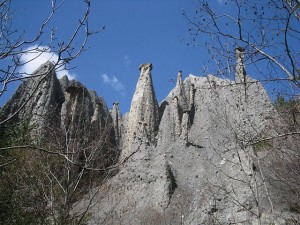 Demoiselles coiffées