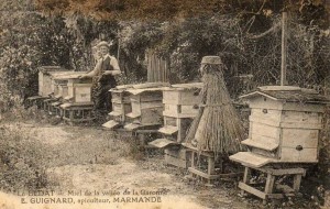 Apiculteur et ses ruches
